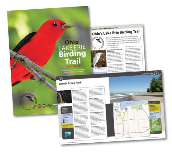 Picture of Lake Erie Bird Trail Guide