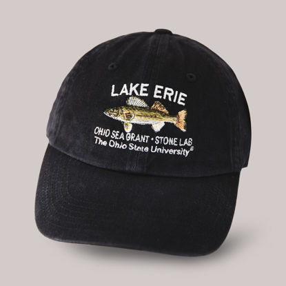 Picture of Lake Erie Cap
