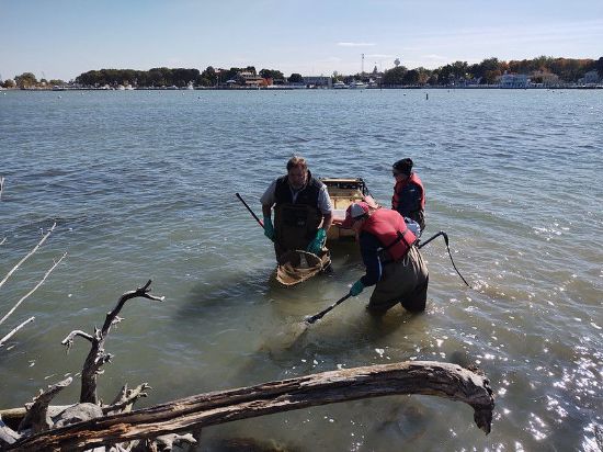 Picture of Fish Sampling Techniques Workshop - October 4-5, 2025